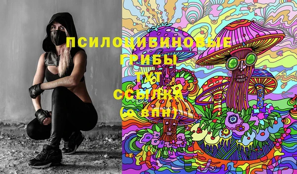 крисы Аркадак