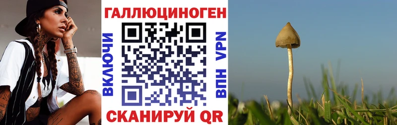 Псилоцибиновые грибы ЛСД  OMG ссылка  Каргополь 